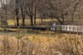 A Woman Fishing for Trout from a Boardwalk